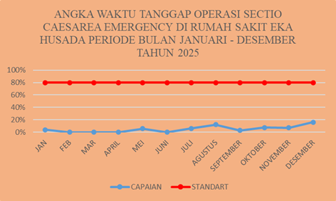 2025 Waktu Tanggap Operasi Sectio Caesarea Emergency